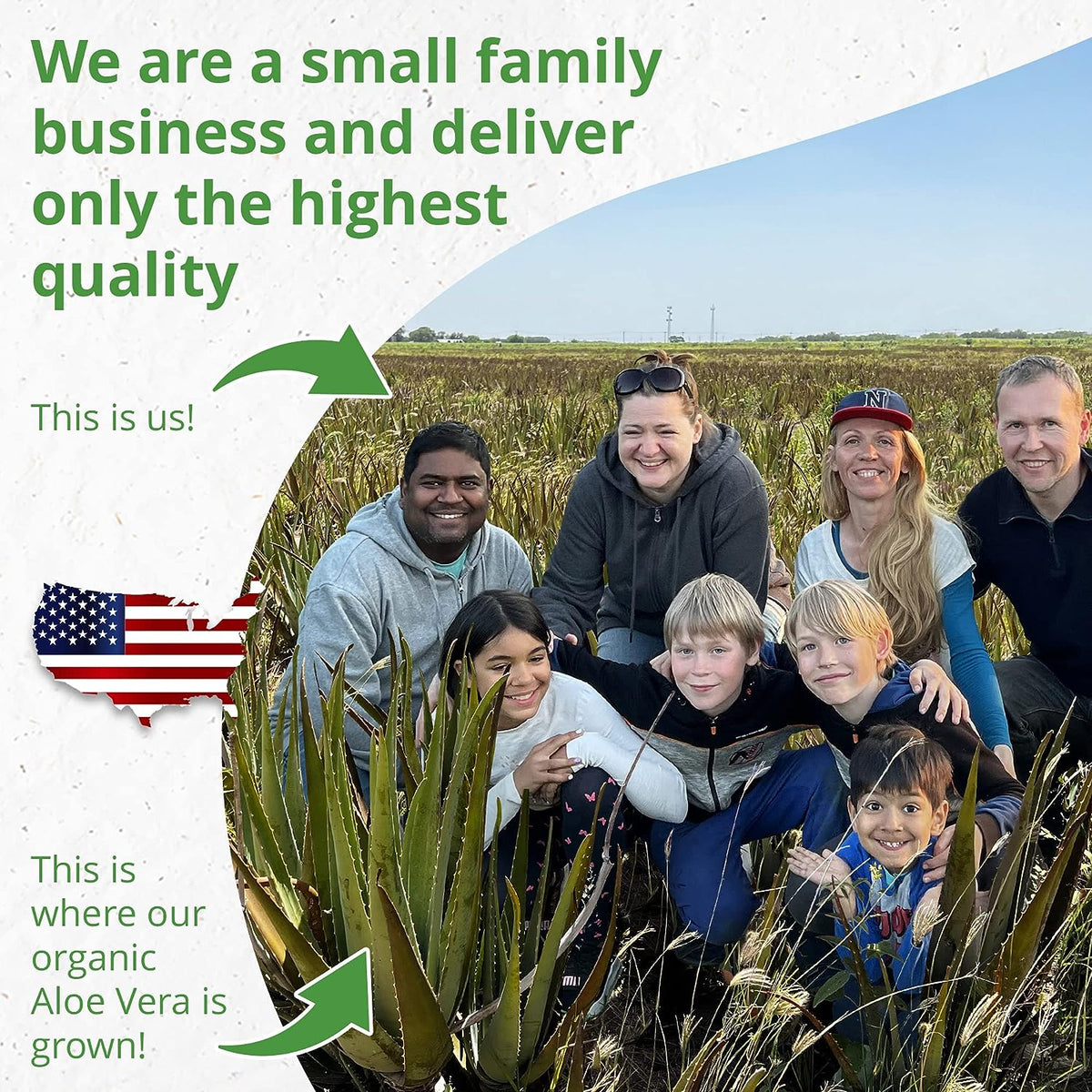 Aloe Vera Gel - 98.7% Organic - with Freshly Cut Texas Grown Aloe - Big 12 fl oz