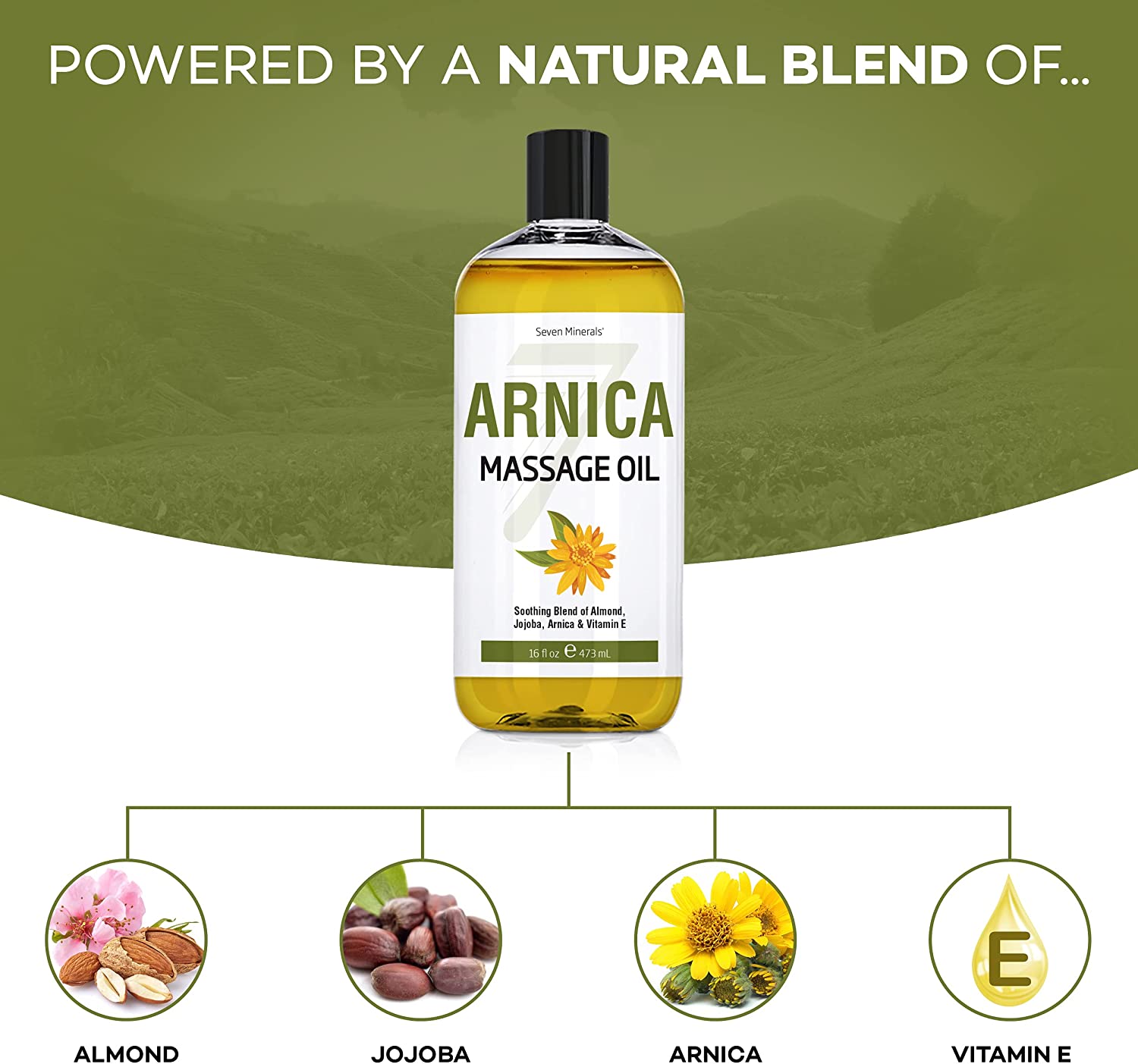 New Arnica Massage Oil for Massage Therapy - Big 16oz Bottle - Ideal for Professional or at-Home Body Massage. Soothing Natural Blend of Almond, Jojoba, Arnica & Vitamin E