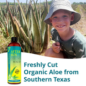 NEW Cooling After Sun Gel with Aloe Vera - Big 12 Fl Oz