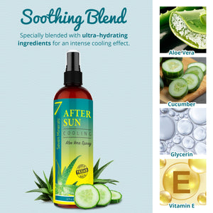 NEW Cooling After Sun Spray with Aloe Vera - Big 12 Fl Oz